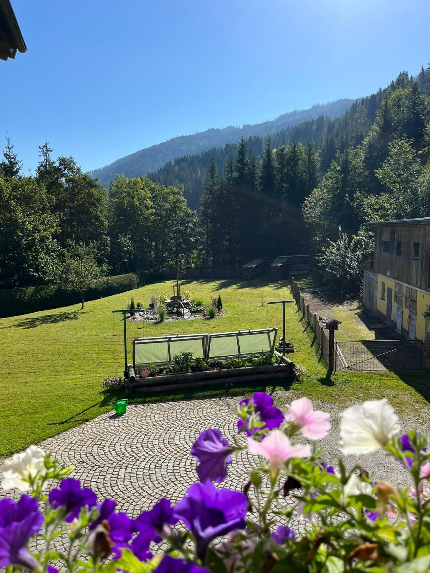 דירות Mühlbach am Hochkönig Haus Rosina מראה חיצוני תמונה
